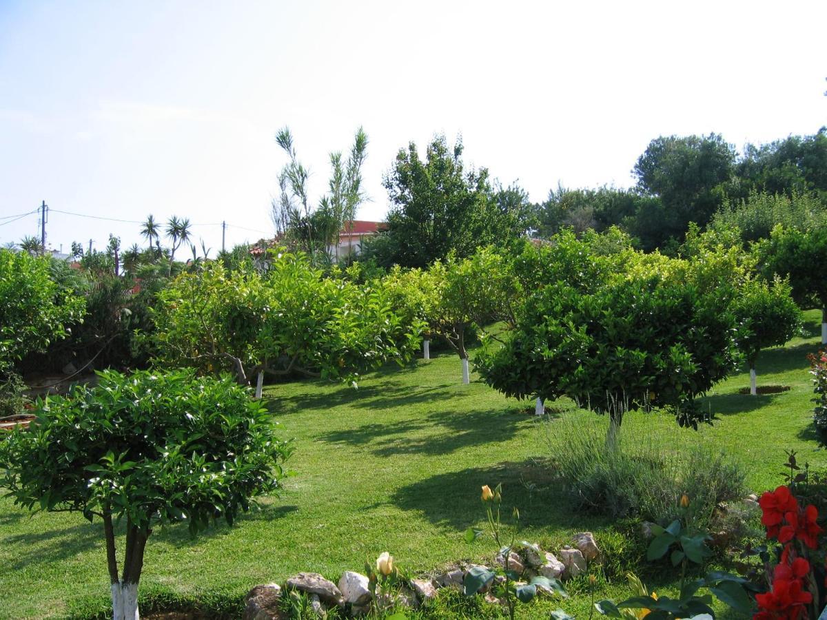 Tara Beach Hotel Skala  Dış mekan fotoğraf